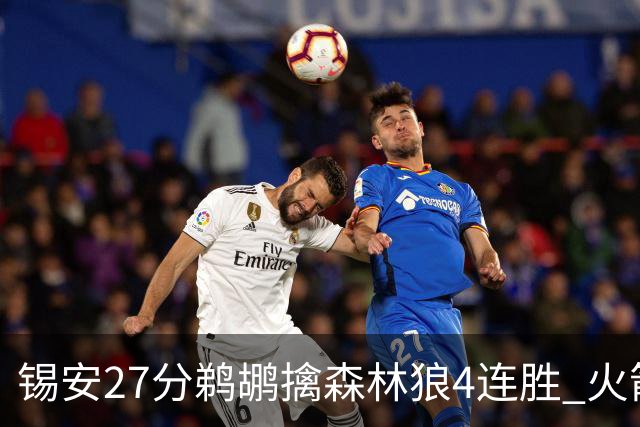 锡安27分鹈鹕擒森林狼4连胜 火箭送篮网5连败
